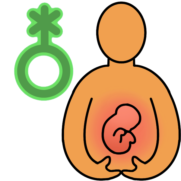  a person cradling their belly, which has a fetus symbol over it. There is a green circle with a nonbinary symbol by them.